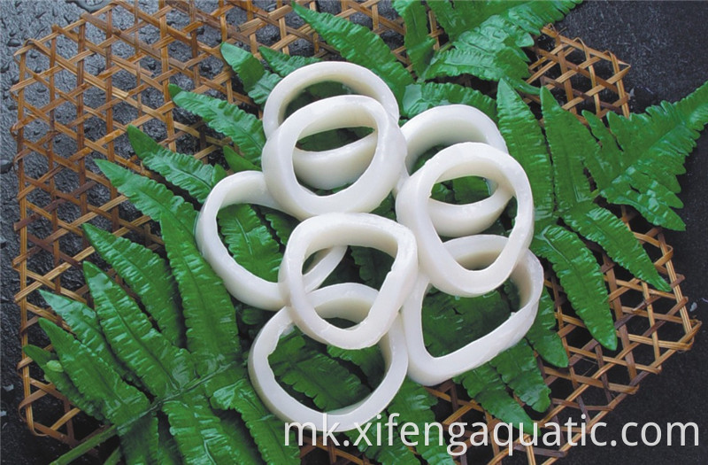 Todarodes лигњи прстени Todarodes Squid Rings